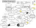 Cell respiration pathway fill in.jpg