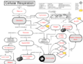 Thumbnail for version as of 18:38, 3 January 2021