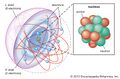 Shell-atomic-model-shell-shells-electrons-energy.jpg