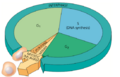 Thumbnail for version as of 07:49, 1 February 2021